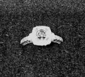 14K White Gold Square Natural Diamond Ring — 1.45 ct